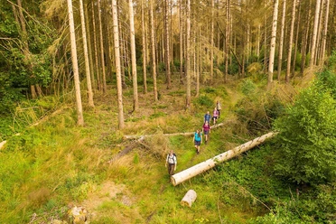 Wanderung mit einem Ranger