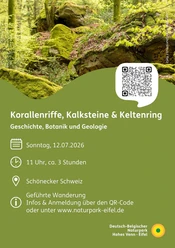 Flyer "Korallenriffe, Kalksteine & Keltenring"