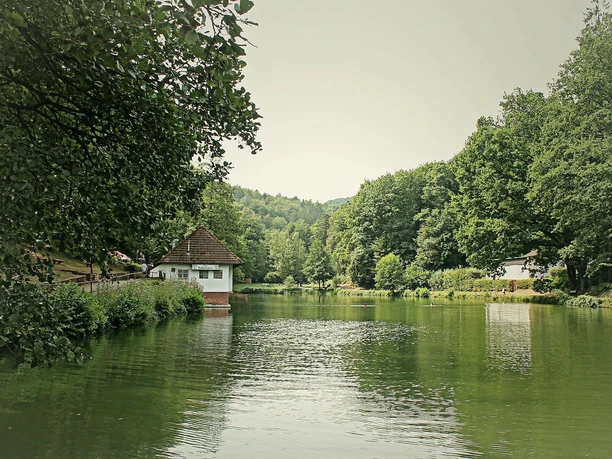 Bärenlochweiher Bärenlochweiher