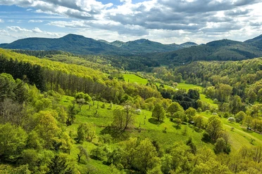 Umgebung von Eußerthal