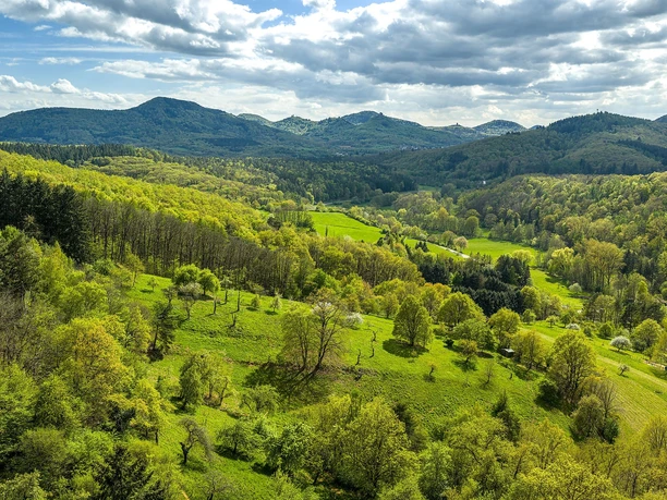 Umgebung von Eußerthal