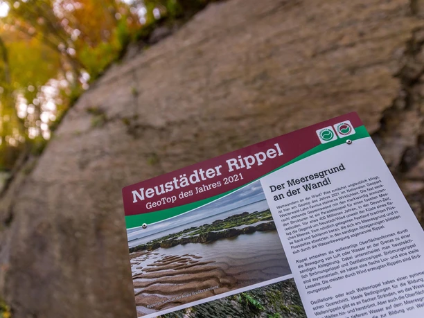 Neustädter Rippel