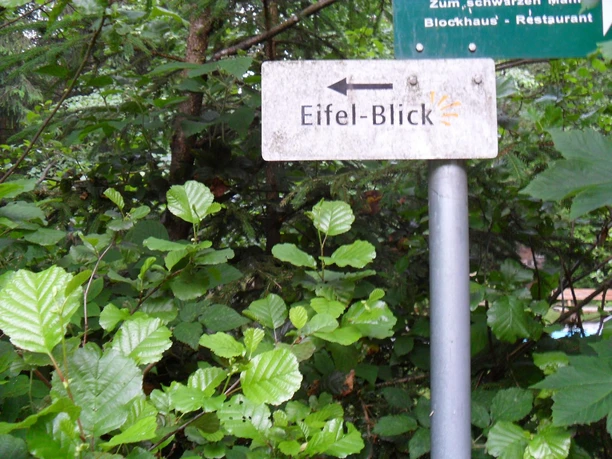 Eifelblick 1