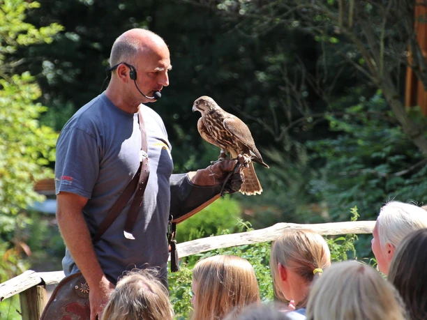 Greifvogelpark Saarburg (3)