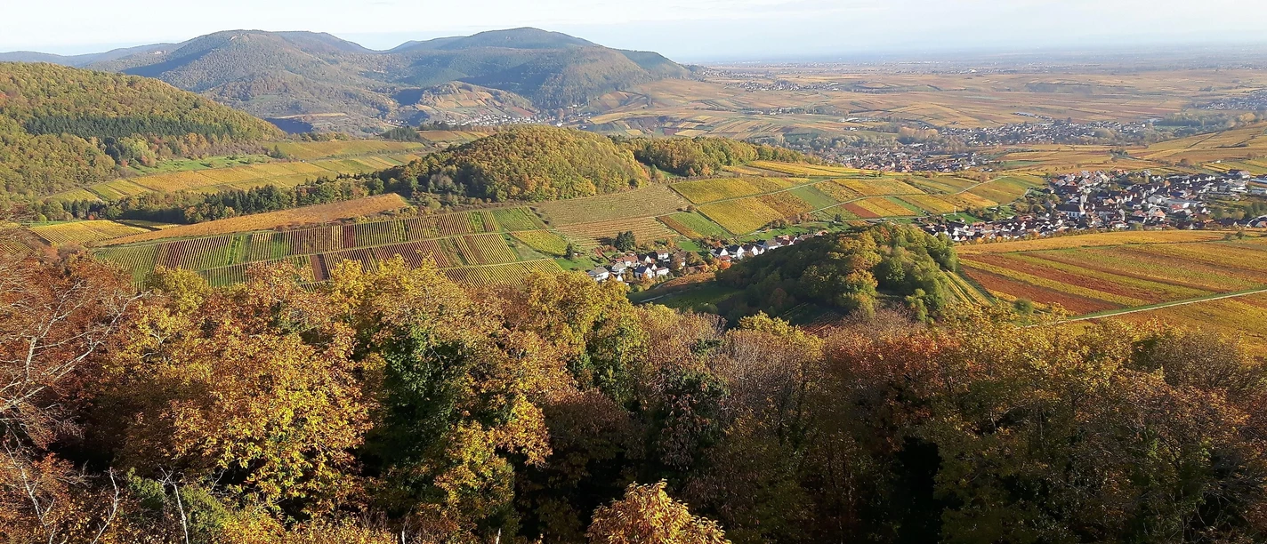 Blick auf den Ranschbacher Seligmacher im Herbst