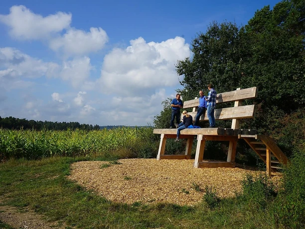 Die XXL-Baumelbank in Ditscheid Die XXL-Baumelbank in Ditscheid