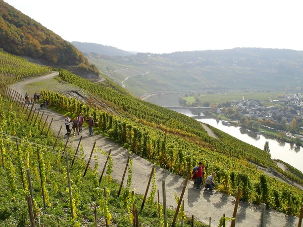 Weinwandern