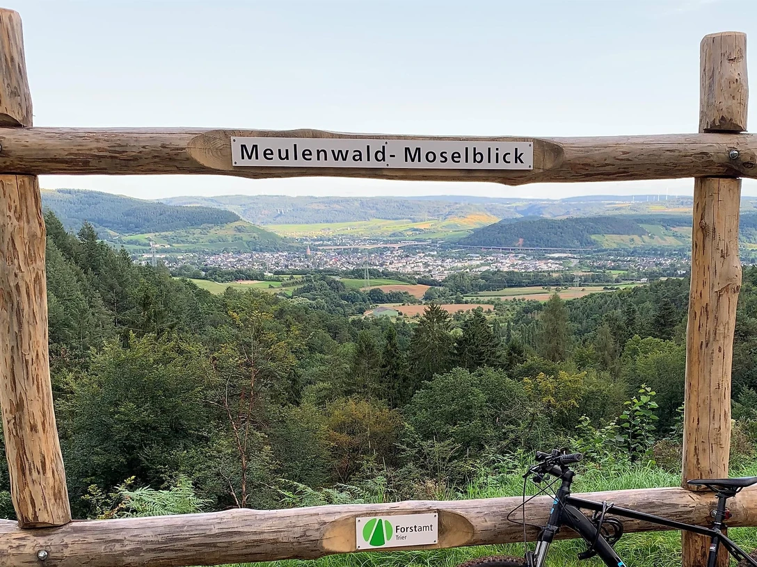 Meulenwald-Moselblick