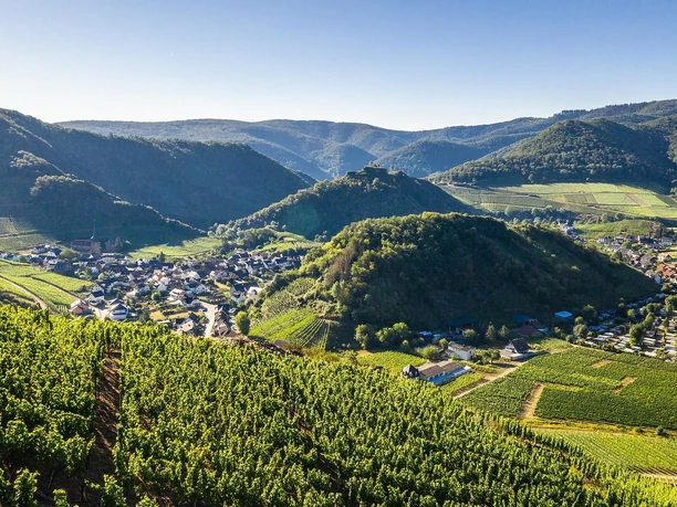 Blick auf Mayschoß