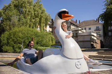 Tretbootfahren mit dem Schwan