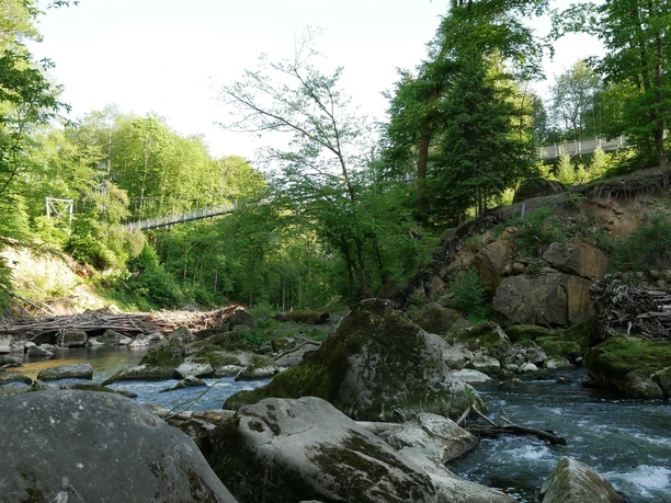 Hängebrücke über die Irreler Wasserfälle 2