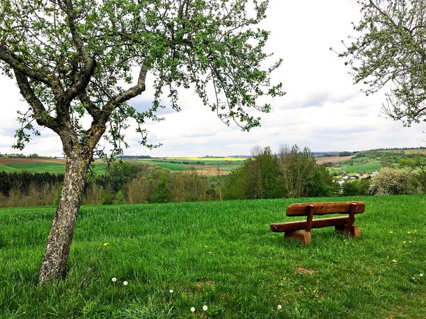 Schöner Ausblick auf die Landschaft