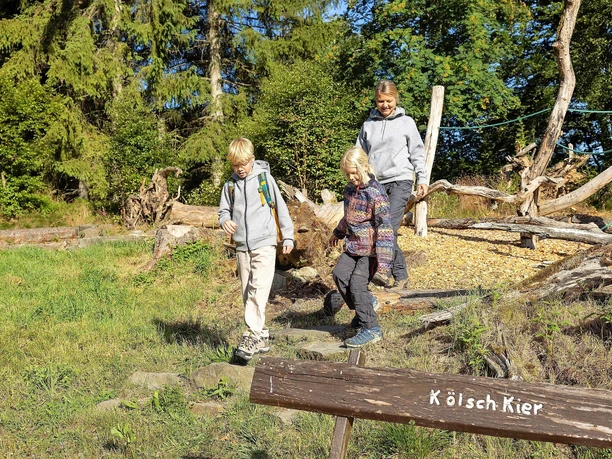 Balanciert durch den Walderlebnisparcours