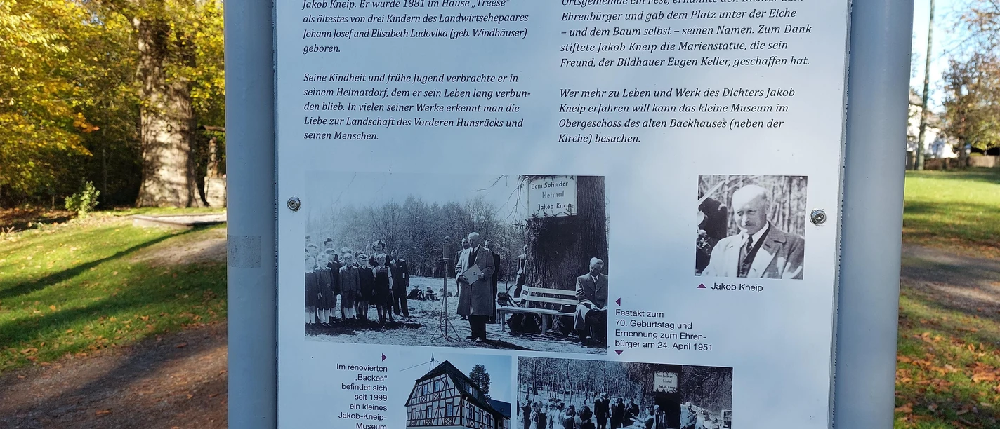 Infotafel an der Jakob-Kneip-Eiche