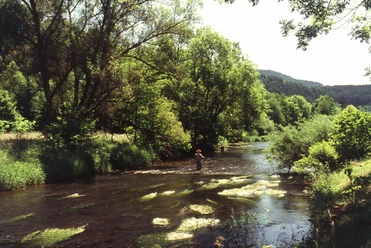 Angeln an der Kyll