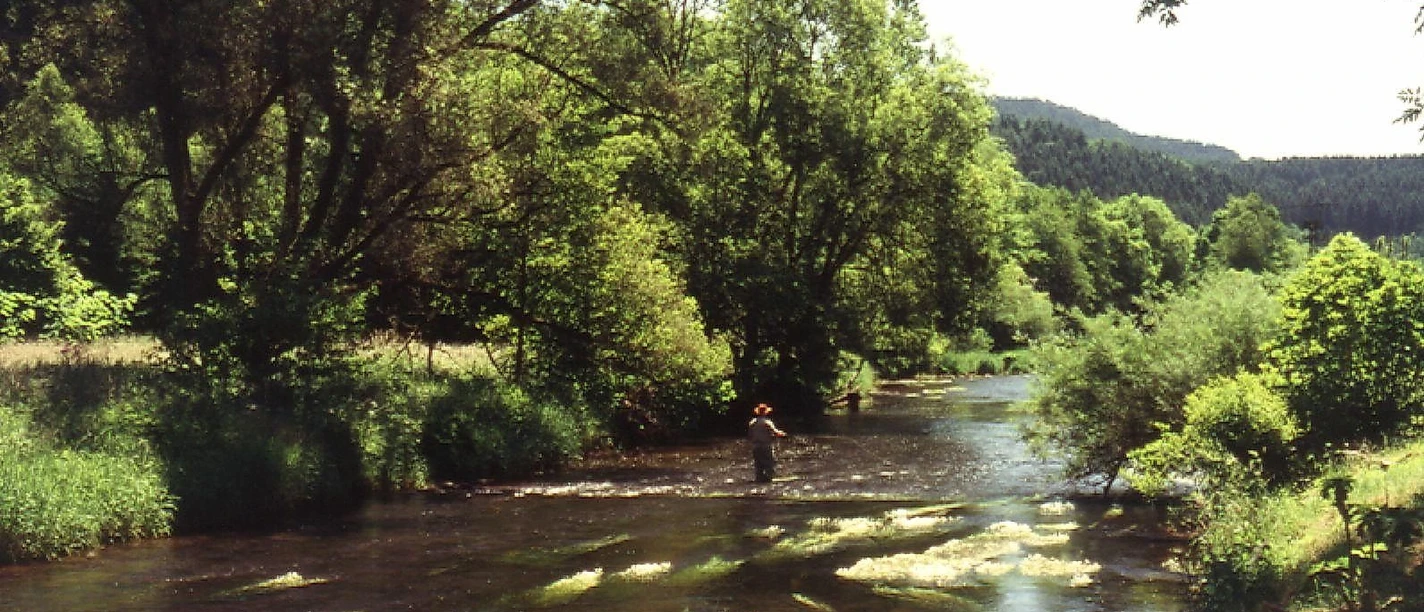 Angeln an der Kyll