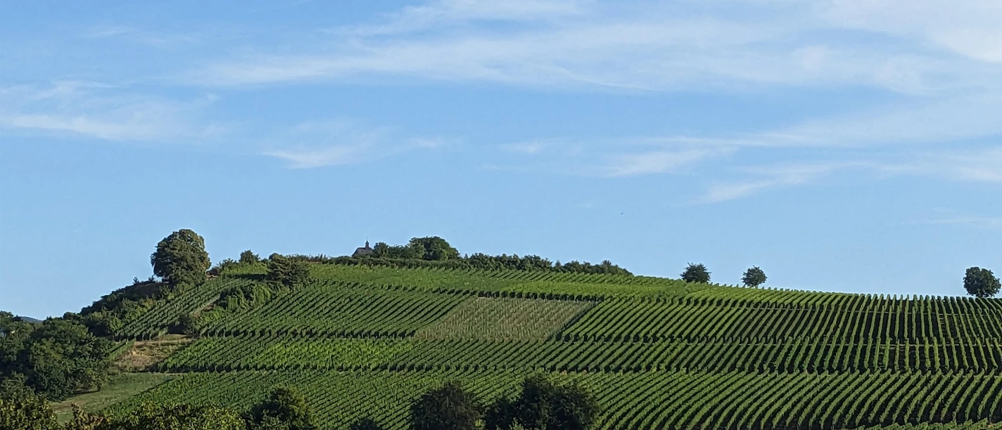 Weinlage Ilbesheimer Kalmit