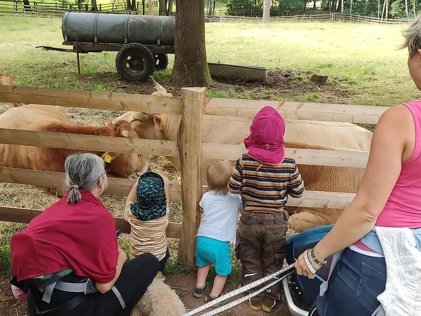 Familie vor Rindern