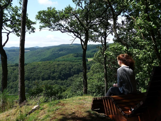 Die Waldliege am Nitzblick
