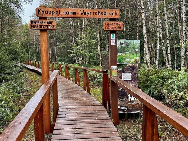 Knüppeldamm am Weyrichsbruch