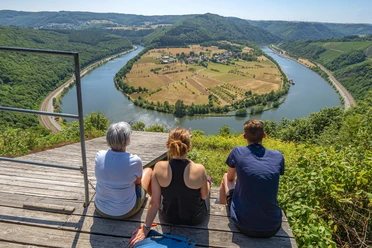 Schöne Aussicht Serrig (1)