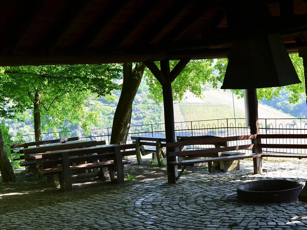 Sauzahn 3