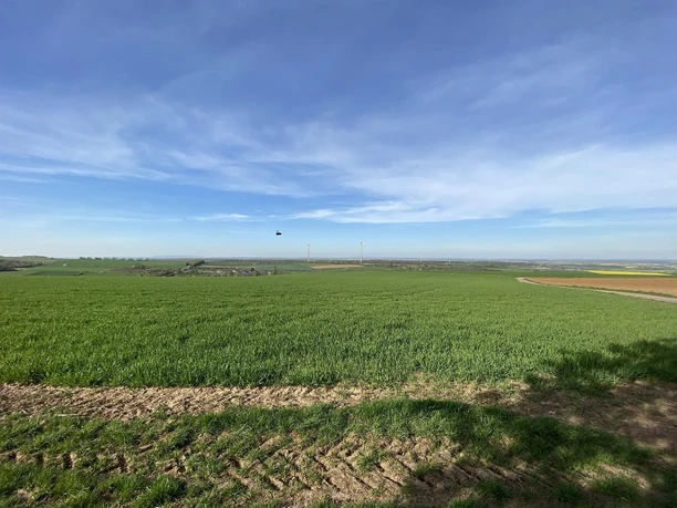 Weitsichten in der Bördelandschaft