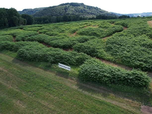 Naturlabyrinth von oben