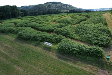 Naturlabyrinth von oben