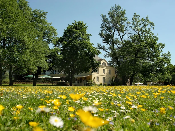 Nells Park Hotel