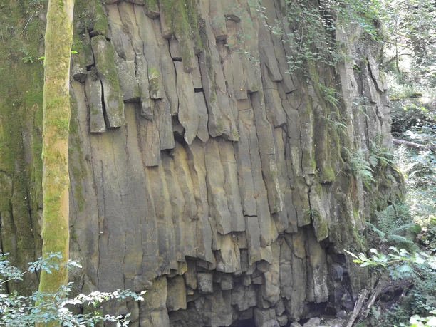 Relikte des Basaltsteinbruchs