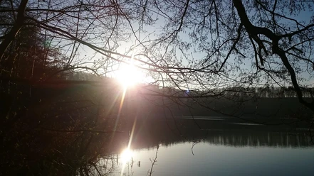 Pulvermaar mit Herbstsonne