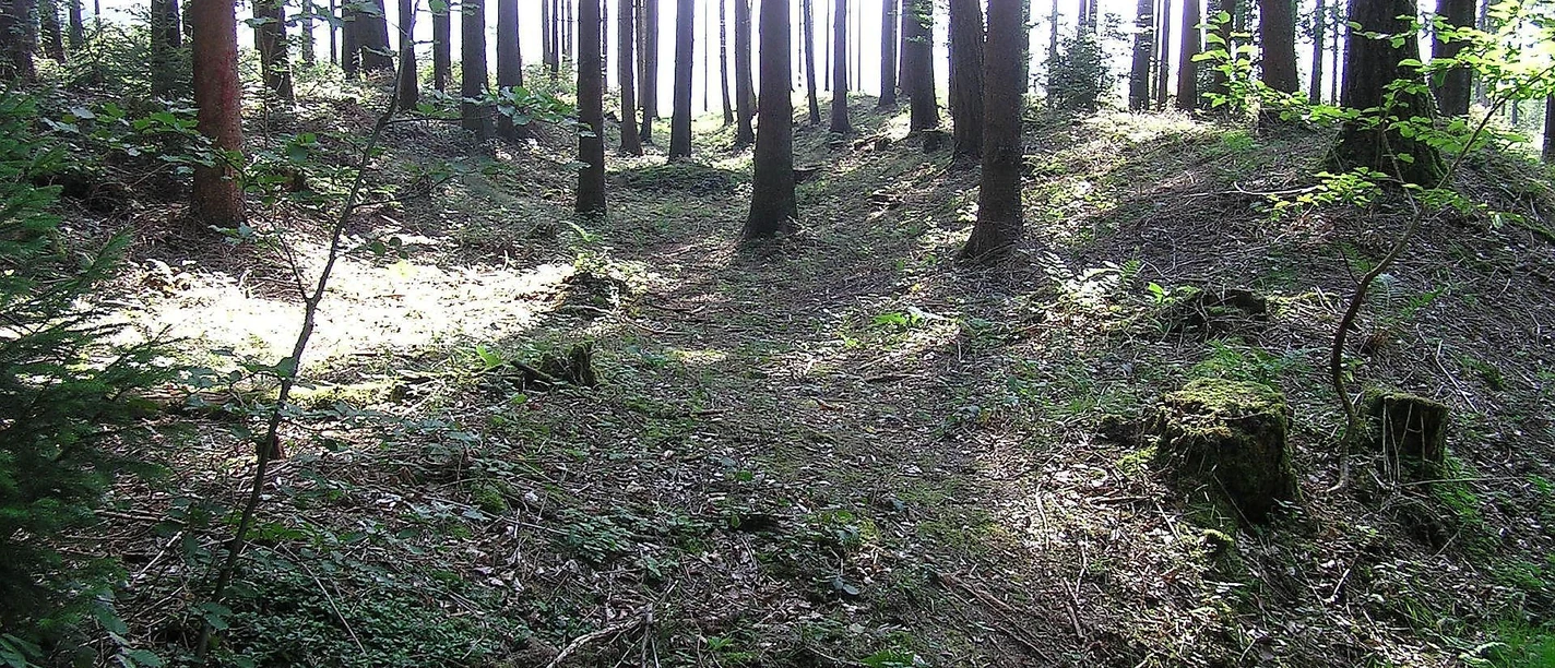 Waldspaziergang