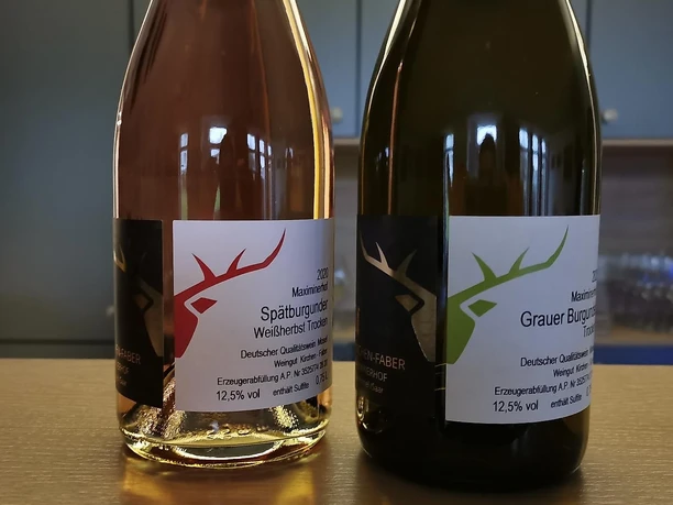 Weingut Maximinerhof (2)
