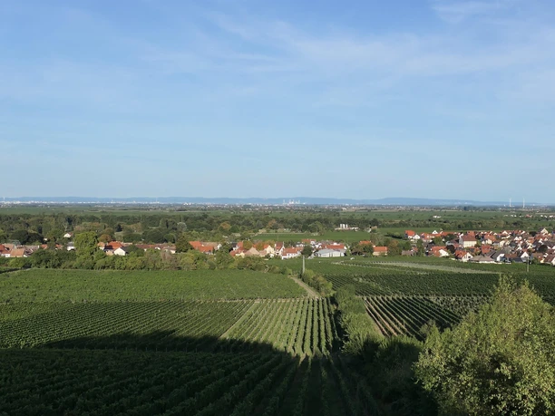 Forst Ansicht Blick Odenwald