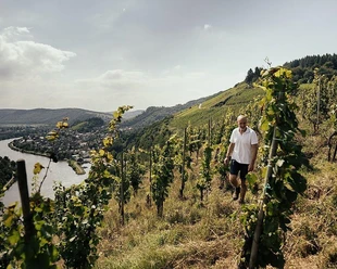 Weingut Lauer