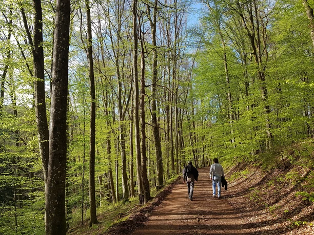 Panoramaweg im Rotztal bei Donsieders