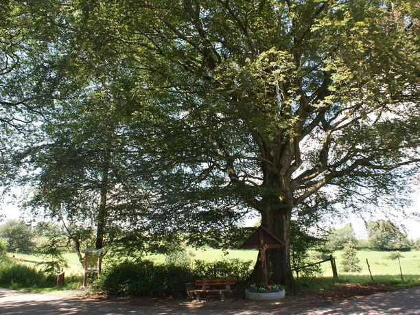 Wegekreuz am Wanderparkplatz