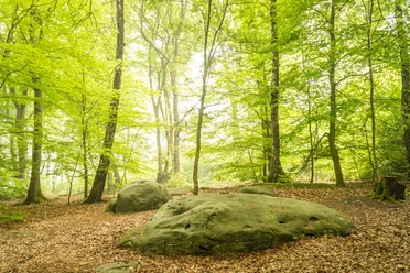 Zyklopensteine