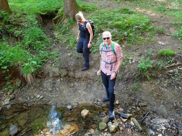 Drees in der Vulkaneifel