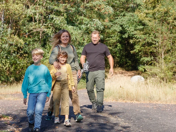 Haldenlandschaft bei Würselen