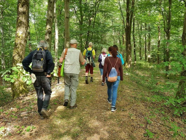 Wandern auf dem Keltenwall