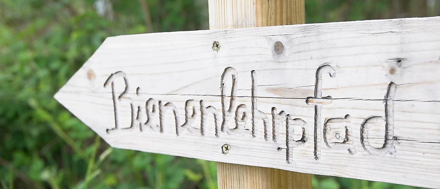 Bienenlehrpfad_Lea