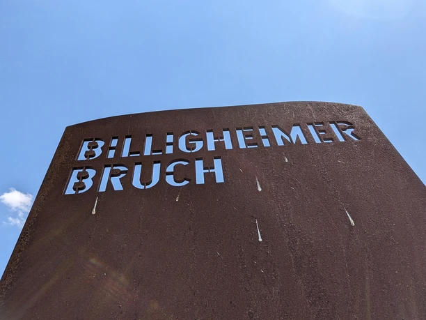 Billigheimer Bruch