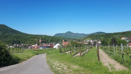 Ortsansicht