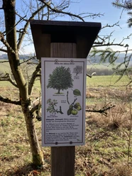 Arboretum Straßenhaus (6)