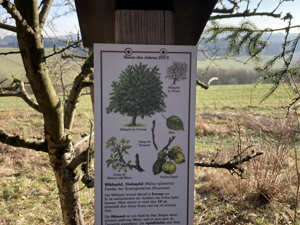 Arboretum Straßenhaus (6)