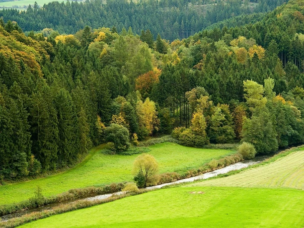 Spitze Ley