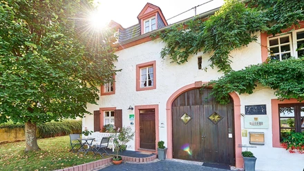 Weingut Willems-Willems (1)