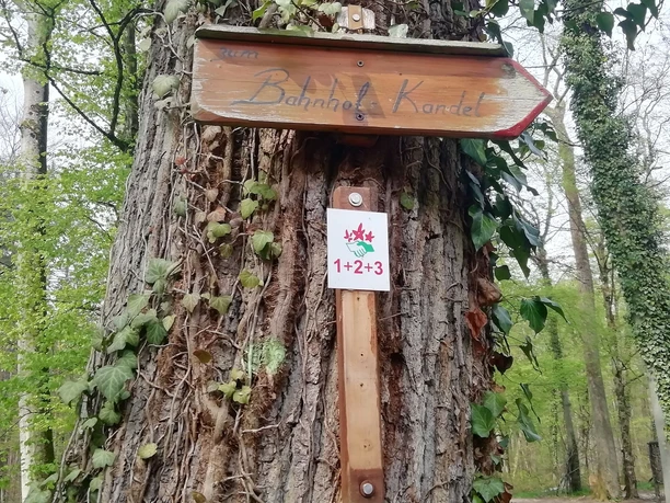 Kennzeichnung Naturfreundewanderwege nahe Naturfreundehaus Kandel